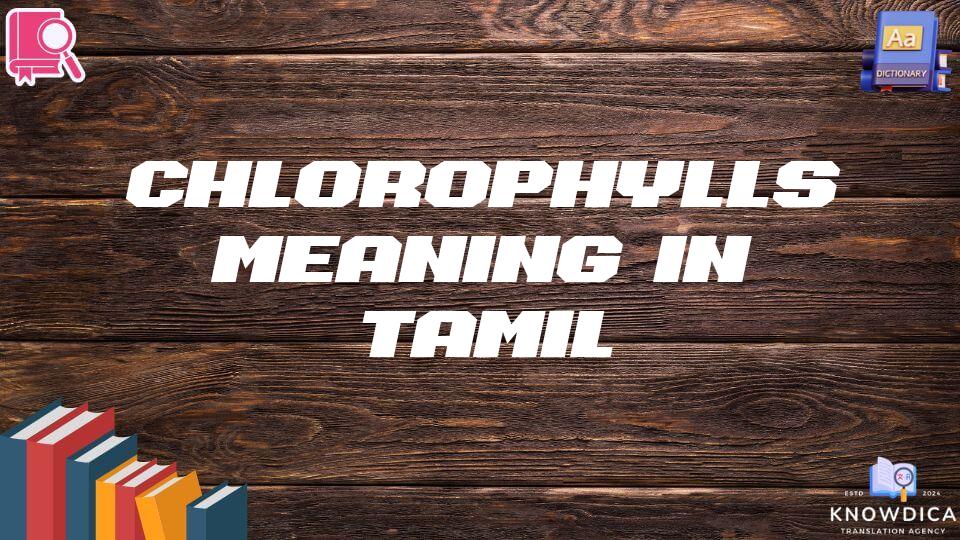 Chlorophylls Meaning In Tamil