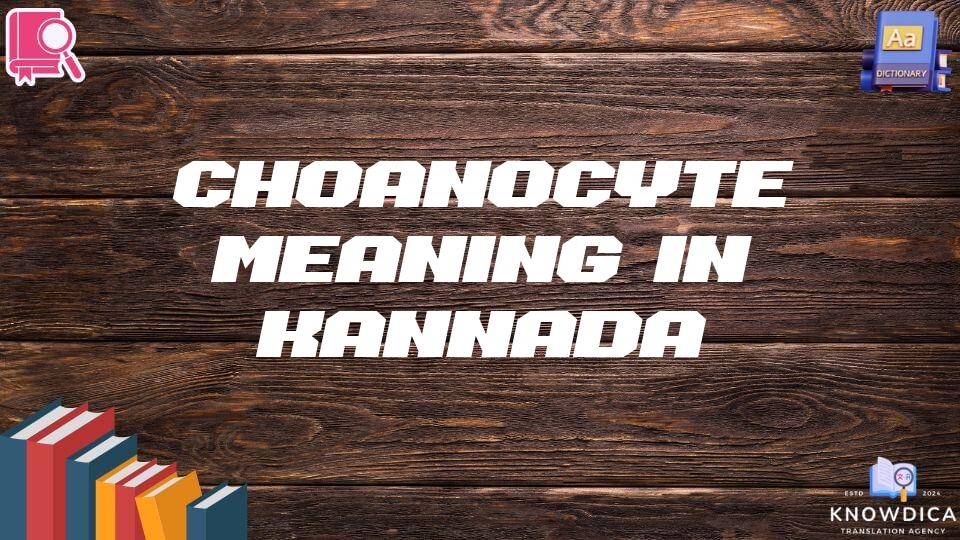 Choanocyte Meaning In Kannada