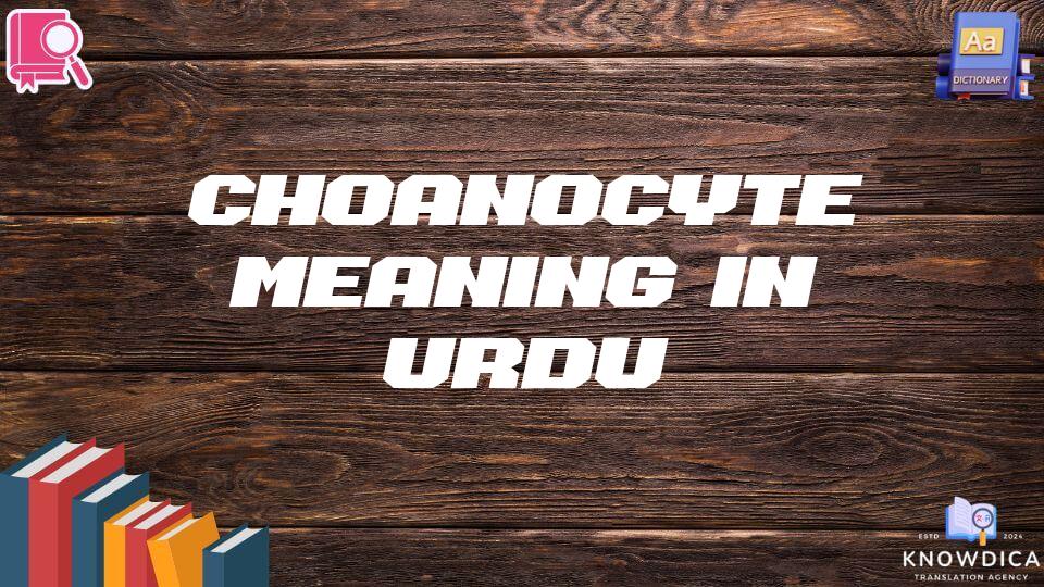 Choanocyte Meaning In Urdu