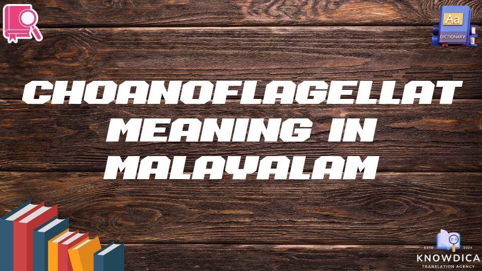 Choanoflagellate Meaning In Malayalam