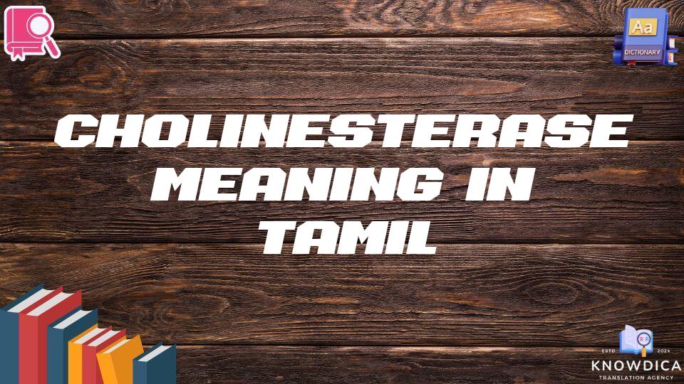 Cholinesterase Meaning In Tamil