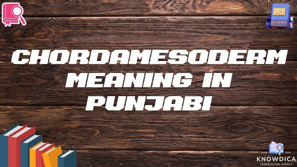 Chordamesoderm Meaning In Punjabi