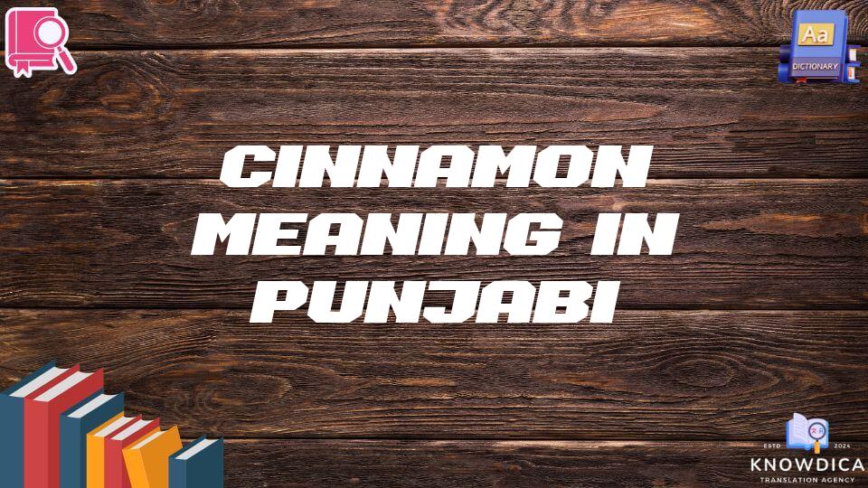 Cinnamon Meaning In Punjabi