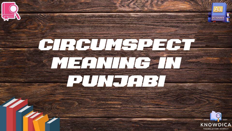 Circumspect Meaning In Punjabi